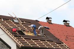 What Roofing Material Should You Choose?
